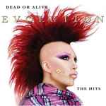 Cover of Evolution - The Hits, 2003, CD