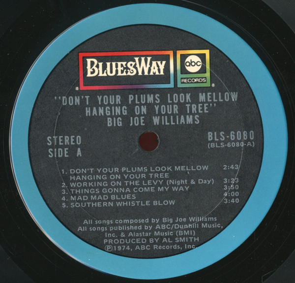 last ned album Big Joe Williams - Dont Your Plums Look Mellow Hanging On Your Tree