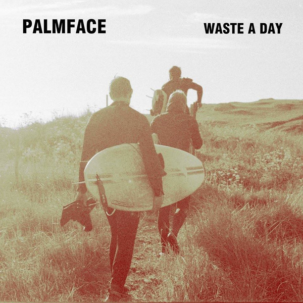 télécharger l'album Palmface - Waste A Day