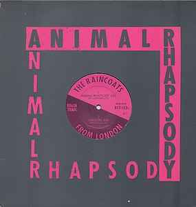 The Raincoats - Animal Rhapsody album cover