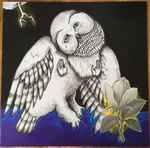 Songs: Ohia - The Magnolia Electric Co | Releases | Discogs