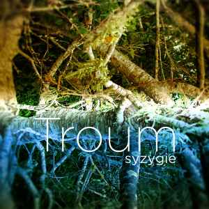 Troum - Syzygie album cover