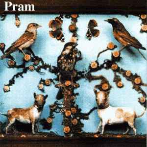 Pram - The Museum Of Imaginary Animals album cover
