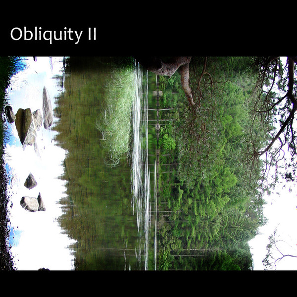 télécharger l'album Obliquity - Obliquity II