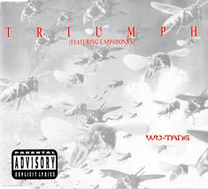Wu-Tang Clan - Triumph album cover
