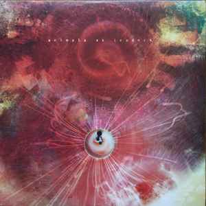 Animals As Leaders - The Joy Of Motion