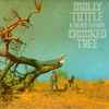 Molly Tuttle (2) & Golden Highway -  Crooked Tree