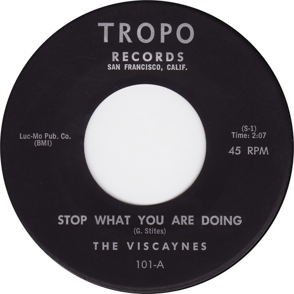Album herunterladen Download The Viscaynes - Stop What You Are Doing album