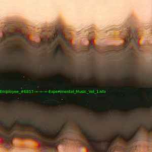 Employee #6817 - Experimental_Music_Vol_1.nfo album cover