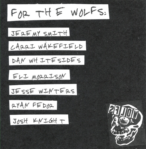 last ned album The Wolfs - Awful Offal