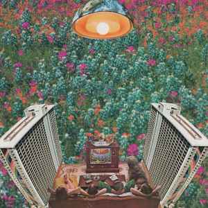 Bill Baird - Flower Children’s Children’s Children album cover