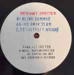 Cover of Blind Summit / Heavens Gate Away Team, , Vinyl