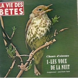 Chants D'Oiseaux - 1 Les Voix De La Nuit