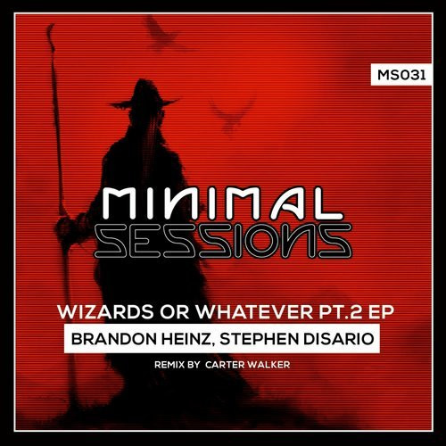 lataa albumi Stephen Disario, Brandon Heinz - Wizards or Whatever Pt 2