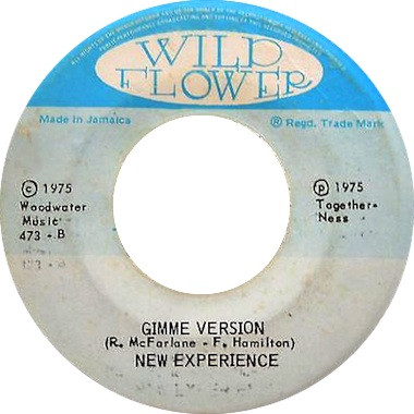 last ned album The New Experience - Gimme Reggae Music