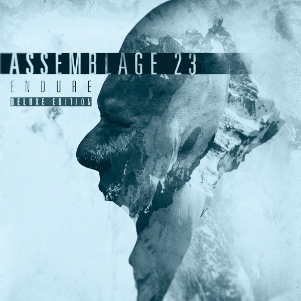 Assemblage 23 – Endure (2016, CD) - Discogs