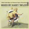 Kasey Taylor - 3 Beat Label Mgnt Ltd Presents Vapour Recordings II 