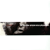 Fat Jon The Ample Soul Physician – Afterthought (2006, Vinyl 