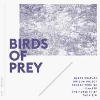 Birds Of Prey (8) - Birds Of Prey   album cover