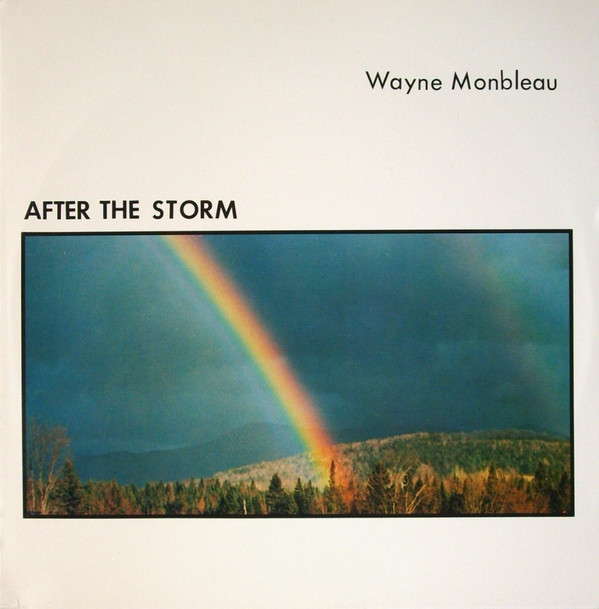 last ned album Wayne Monbleau - After The Storm