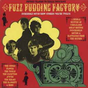 Incredible Sound Show Stories Volume Twelve (Fuzz Pudding Factory) - Various
