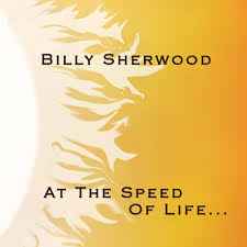 Billy Sherwood - At The Speed Of Life... album cover
