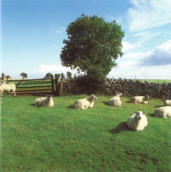 The KLF – Chill Out (2023, Clear w/ Milky Swirls, Vinyl) - Discogs