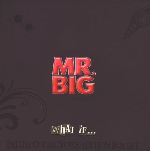 Mr. Big – What If (2011, Box Set) - Discogs