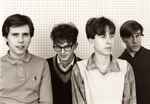 lataa albumi The Feelies - Time For A Witness