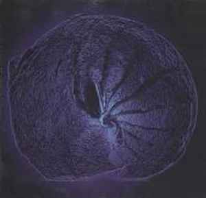 Nebula (4) - Genesis