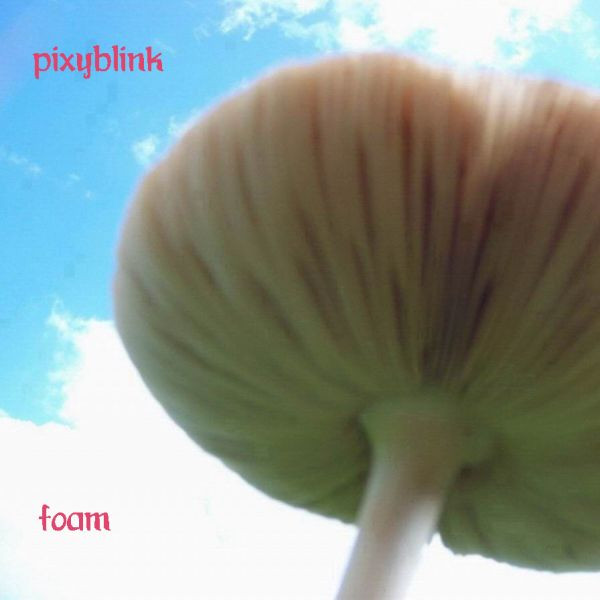 ladda ner album Pixyblink - Foam