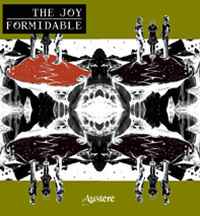 Austere - The Joy Formidable