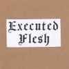 Executed Flesh - Executed Flesh