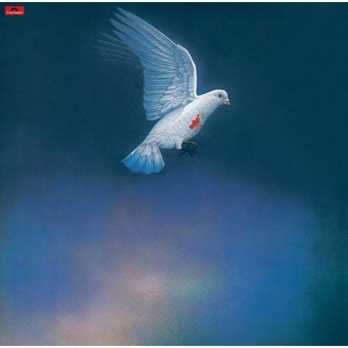 森田童子 - 東京カテドラル聖マリア大聖堂録音盤 | Releases | Discogs