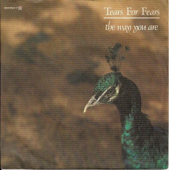 Tears for Fears – The Way You Are Lyrics