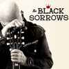 The Black Sorrows - Citizen John