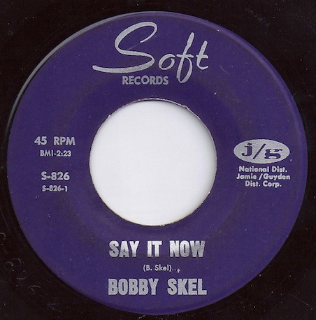 last ned album Download Bobby Skel - Say It Now album