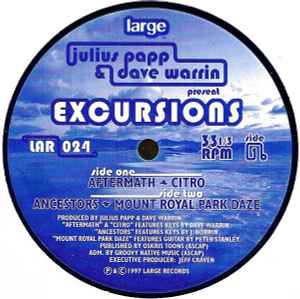 Julius Papp & Dave Warrin - Excursions album cover