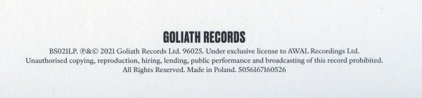 Nick Cave & Warren Ellis - Carnage | Goliath Records (BS021LP) - 10
