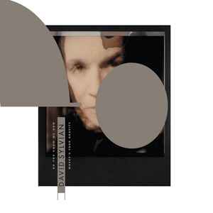 David Sylvian – Do You Know Me Now? (2013, White, Vinyl) - Discogs