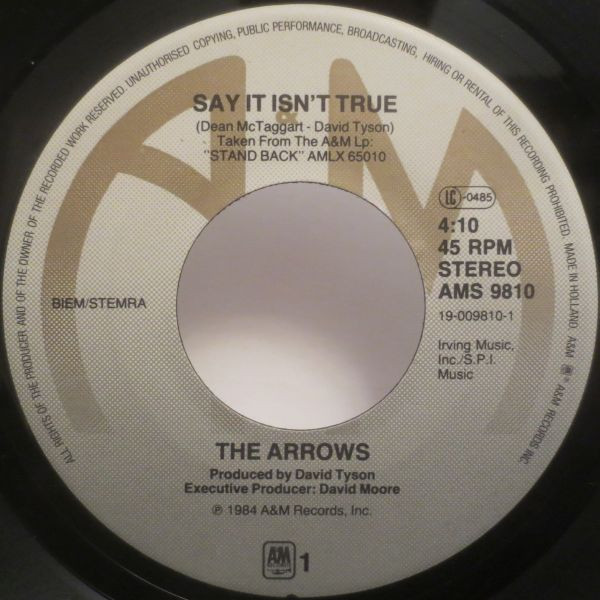 baixar álbum The Arrows - Say It Isnt True