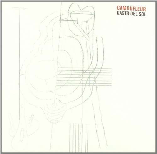 Gastr Del Sol – Camoufleur (2016, Vinyl) - Discogs