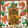 King Gizzard And The Lizard Wizard - Live In Milwaukee '19