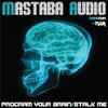 Mastaba Audio - Program Your Brain / Stalk Me