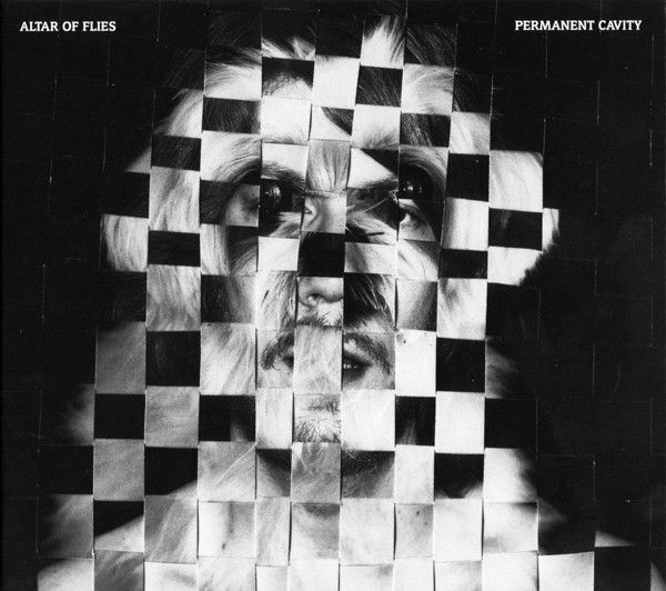 Altar Of Flies – Permanent Cavity (2010, CD) - Discogs