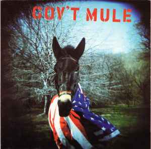 Gov't Mule - Gov't Mule