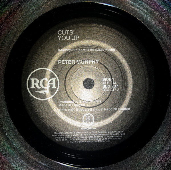 ladda ner album Peter Murphy - Cuts You Up