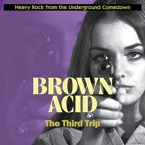 Various – Brown Acid: The Third Trip (Heavy Rock From The Underground Comedown)