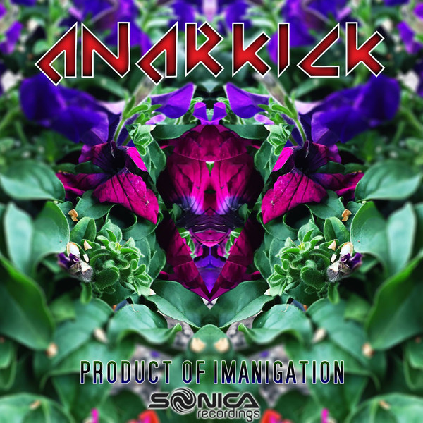 descargar álbum DJ Anarkick - Product Of Imagination