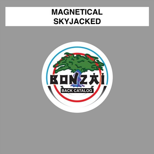 ladda ner album Magnetical - Skyjacked